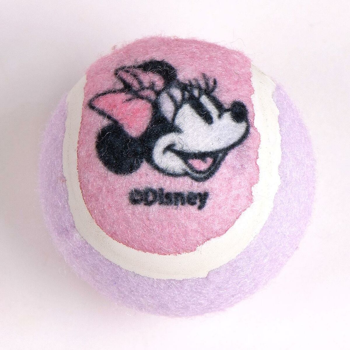 Welcome Gift Set for Dogs Minnie Mouse Roz 21 x 21 x 9 cm Câine